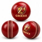 Cricket Ball